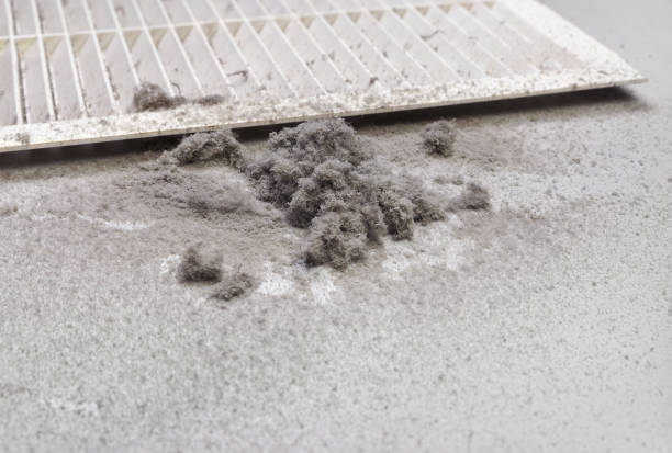 Best Best Air Duct Cleaning Company  in Downers Grove, IL