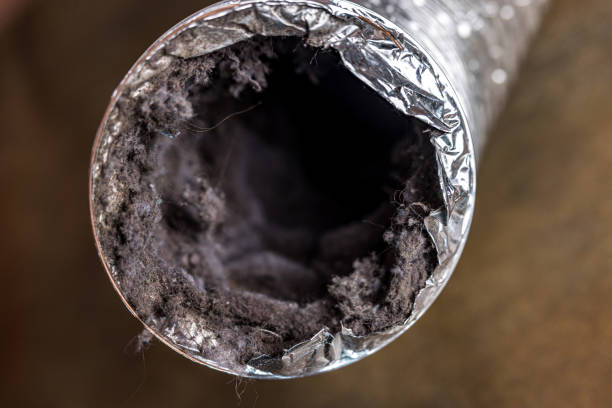 Best Affordable Duct Cleaning Services  in Downers Grove, IL