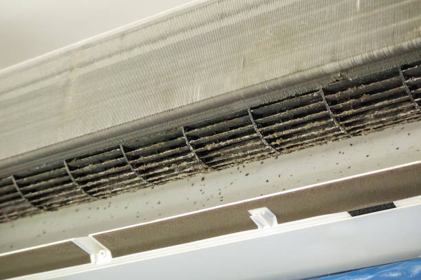 Best Emergency Air Duct Cleaning  in Downers Grove, IL